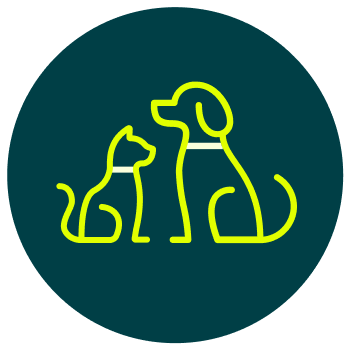 Chatbot Logo